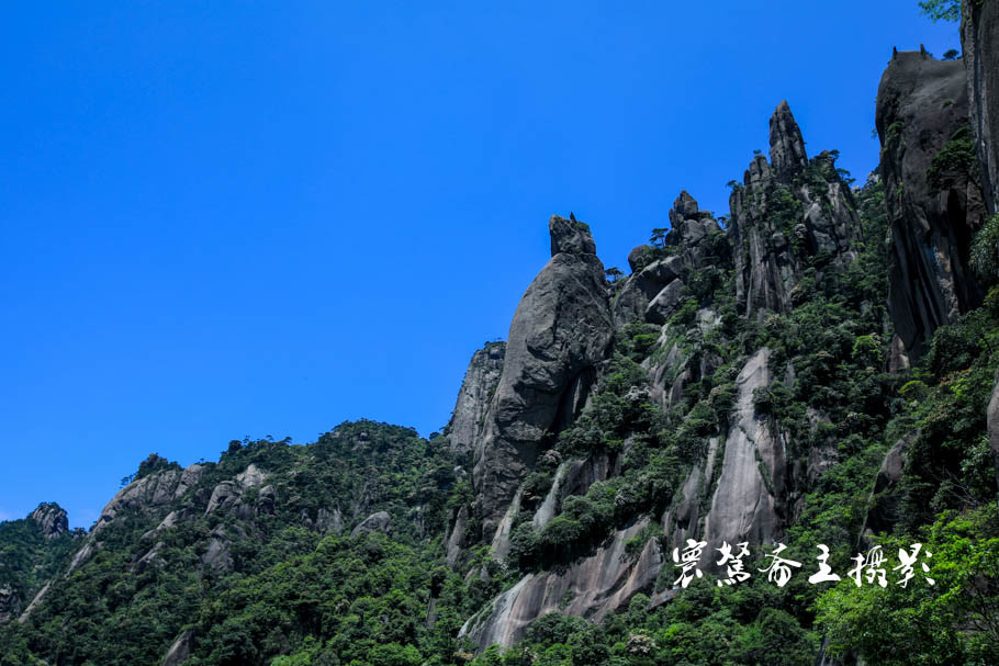 美丽三清山：云端听花开，山巅看花海，邀杜鹃共舞