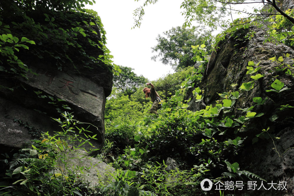 为了能把最好的风景带给屏幕前的你，野人大叔这次彻底拼了！