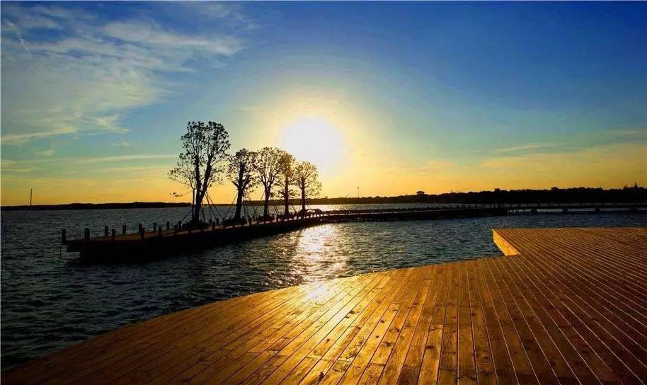 上海人夏天晚上都在干啥?看完这些我不想上班