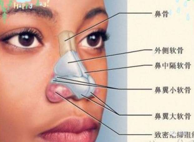 迷死氧说这个鼻骨宽应该没人反对吧?