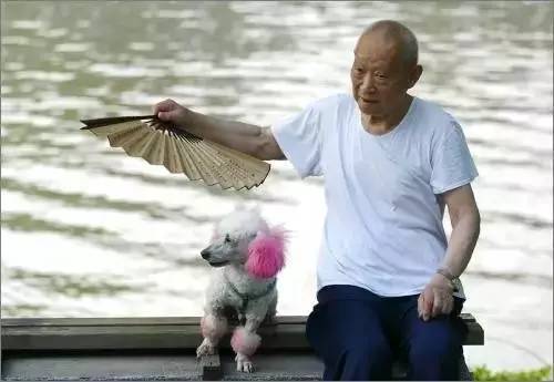 在上海,工资多少决定了你的避暑方式!炸心了