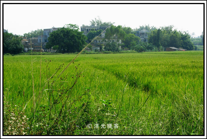 南粤自驾游，用5元钱，闯进开平碉楼百年历史 