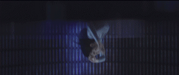 杨幂新电影再跳“诛仙台”？网友：跳井运动好手