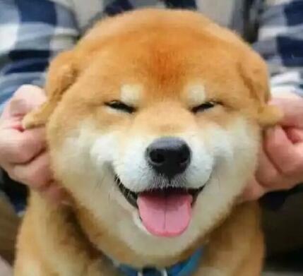 刘诗诗用面瘫拯救唐嫣傻白甜