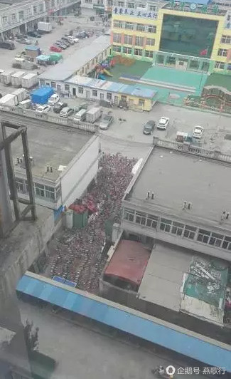 廊坊燕郊共享单车腐尸满地,究竟是怎么一回事