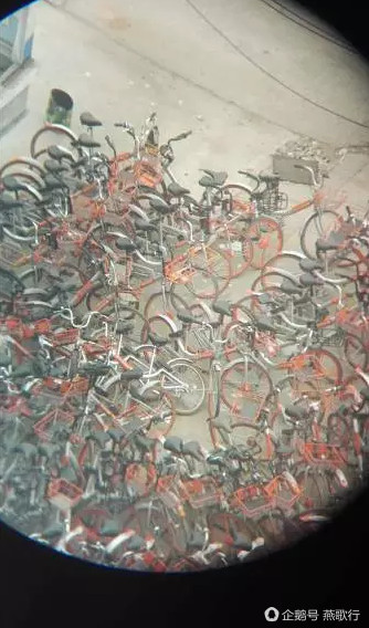 廊坊燕郊共享单车腐尸满地,究竟是怎么一回事