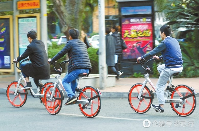 廊坊燕郊共享单车腐尸满地,究竟是怎么一回事