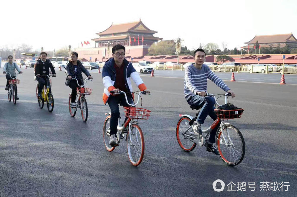 廊坊燕郊共享单车腐尸满地,究竟是怎么一回事