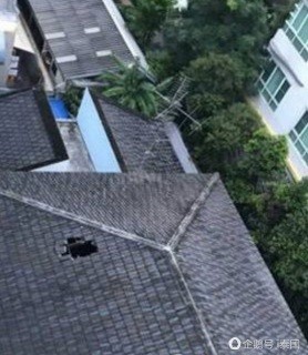 无妄之灾！不速之客从天而降 砸穿房顶坠亡屋内（组图） - 1