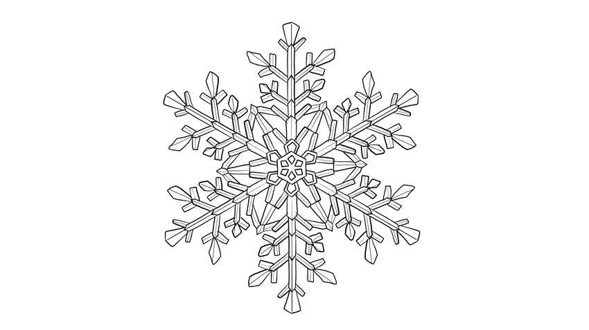 画一朵雪花,给夏日一抹清凉