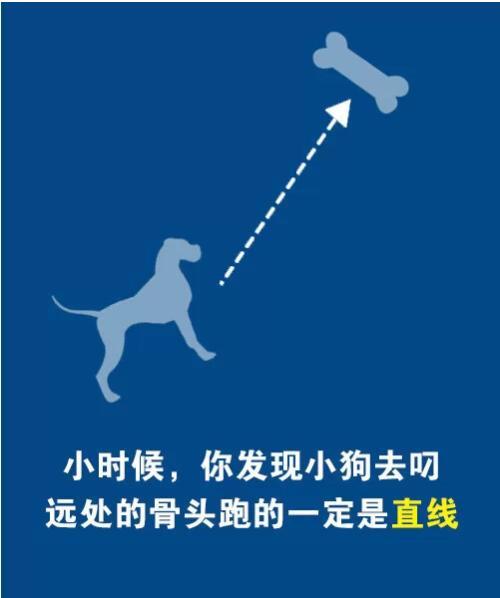 人生 选择比努力更重要