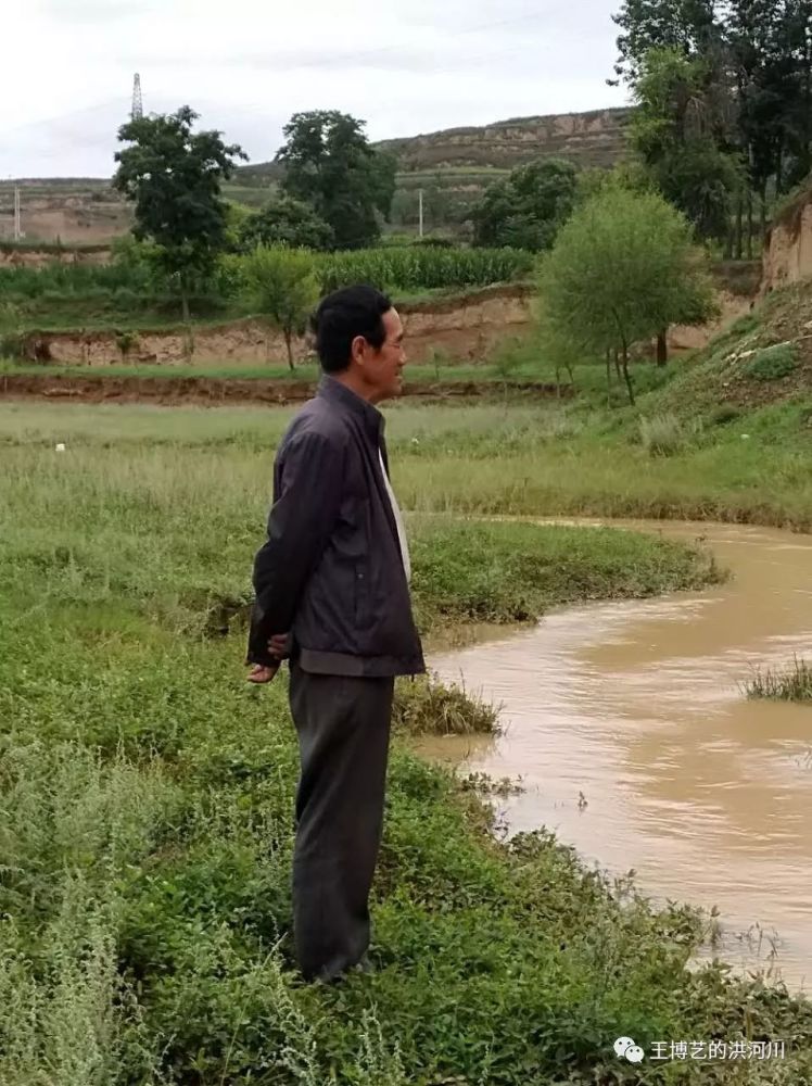 王博艺童话 老虎大鱼和狐狸 看点快报