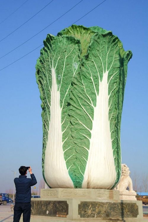 山东现9米高"大白菜"雕塑