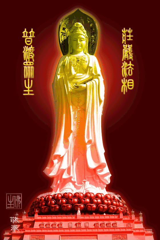 天天快报