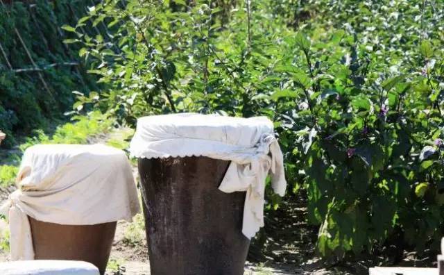 身份证是342221的砀山人注意,再不看就来