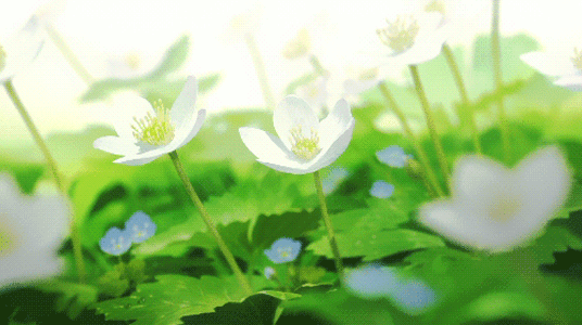 孩子的心理状态值得家长关注