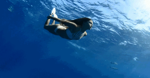 壁纸 动物 海洋动物 鲸鱼 桌面 500_261 gif 动态图 动图