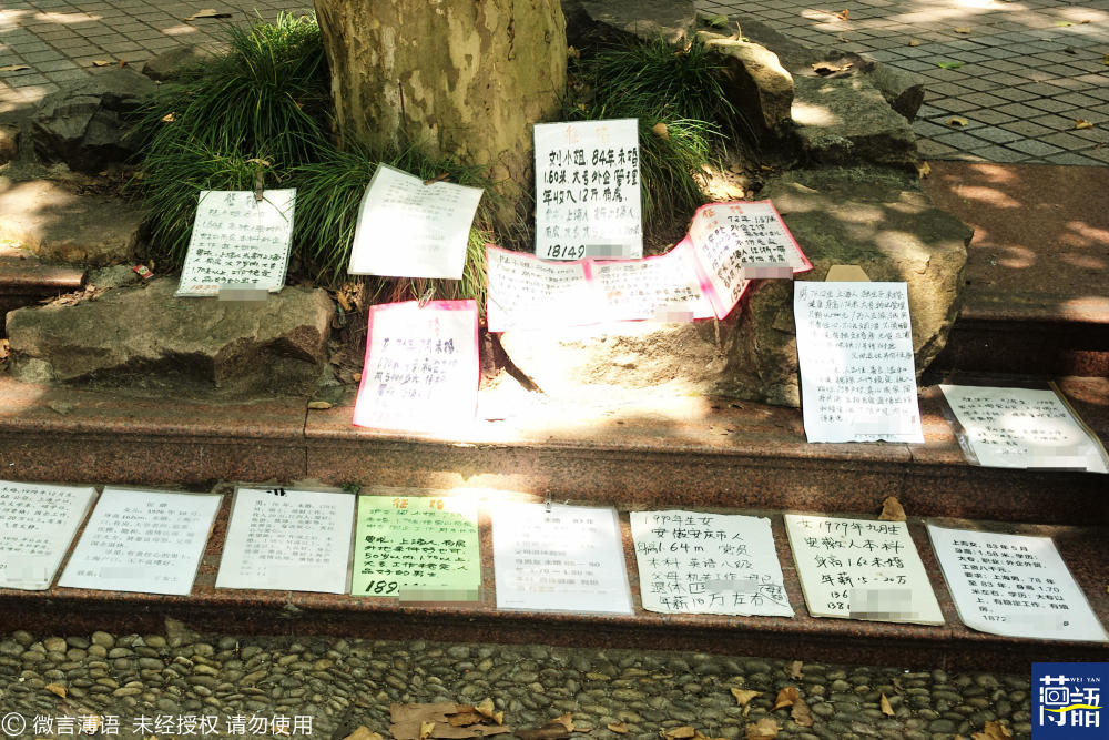 上海相亲角美国硕士女孩征婚:要求大10岁男性