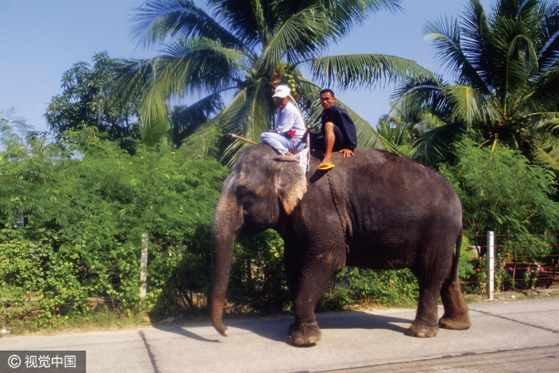 中国每年有1000万人喜欢去泰国旅游,泰国有什