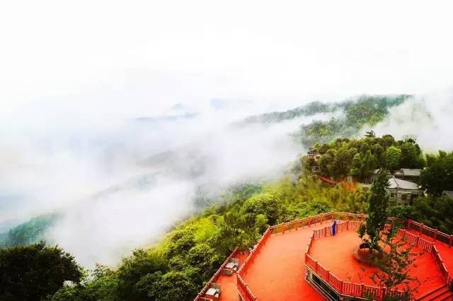 去大余丫山看看云海