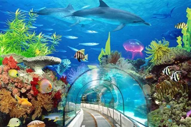 6月24日考后放飞,海洋馆夜宿,鱼我同眠,开启梦幻海洋王国的奇幻探险