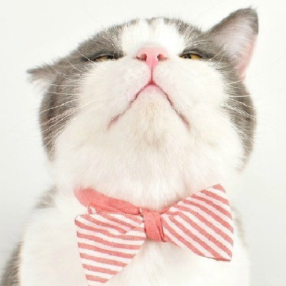 福利房、拆迁房、宅基地怎么留给子女?遗嘱公