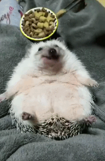 爆笑gif:原来牛肉面里薄薄一层的肉片都是这样刨出来的