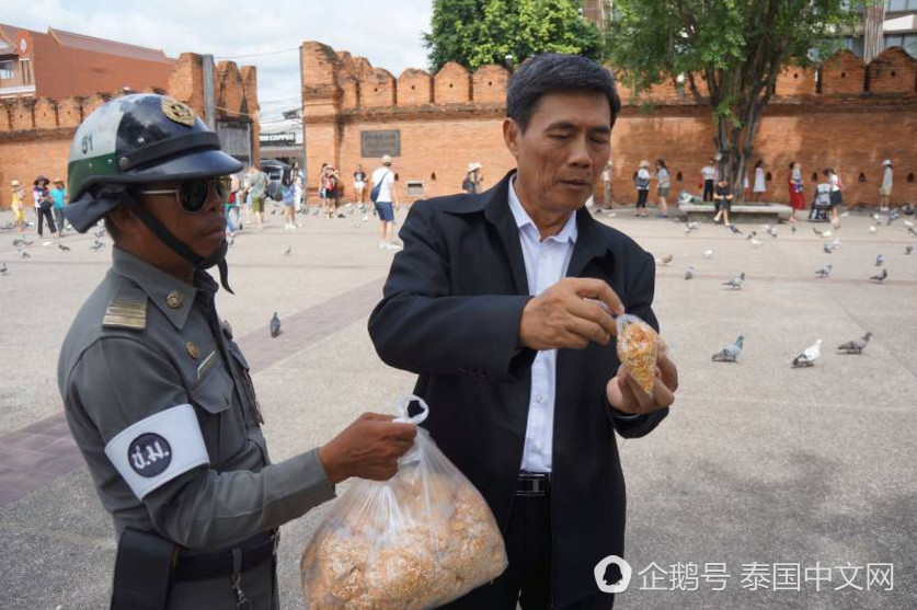 又躺枪！泰国景点鸽子成灾，只因中国游客太多（组图） - 5