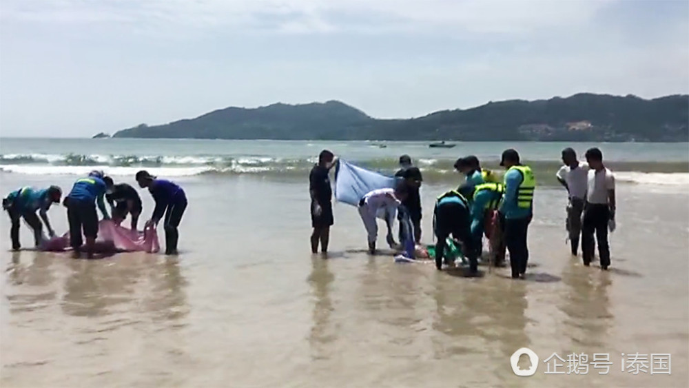 中国游客在泰国又无视警告下海玩水不幸溺毙（组图） - 8