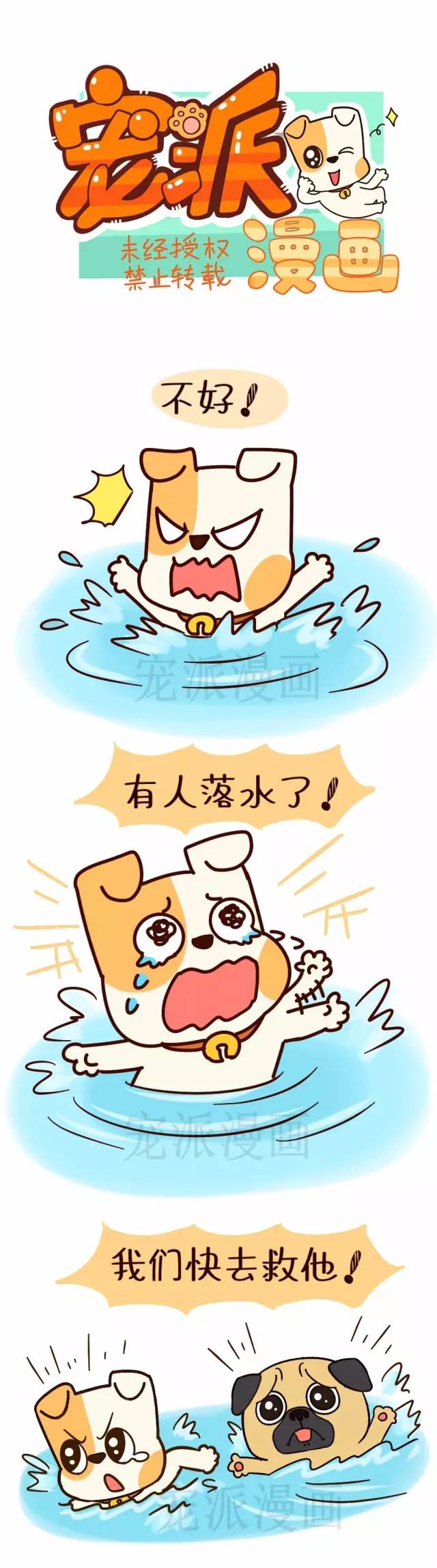 十几只狗狗英勇救人的背后,竟是这样的故事