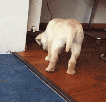 不冷笑话精选:抱紧了,带你到水底参观