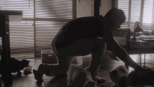 三年来,大叔一直过着猫奴的生活.