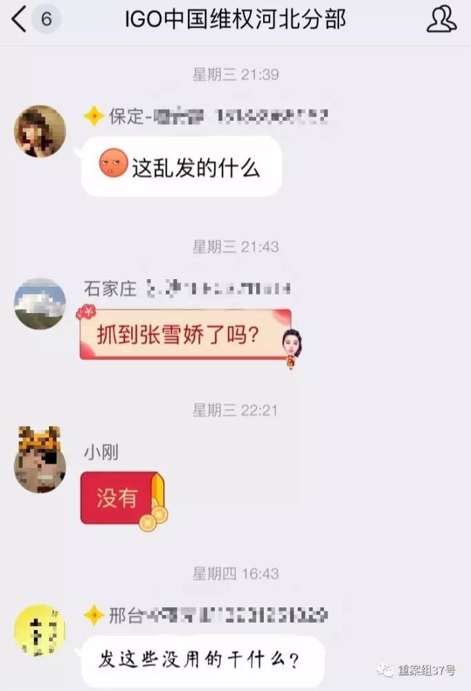 90后美女张雪娇骗300亿跑路？揭秘IGOFX诈骗案