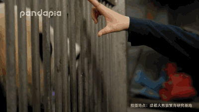 牙齿有无损坏,口腔是否健康 一看便知～ 还有采血的训练