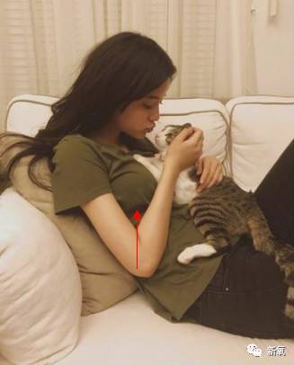 欧阳娜娜不穿内衣_不准美女穿内衣图片(2)