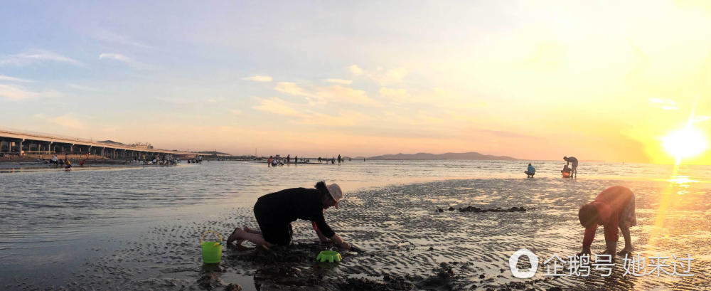 夏日炎炎玩转大连 独家《赶海地图》教你满载