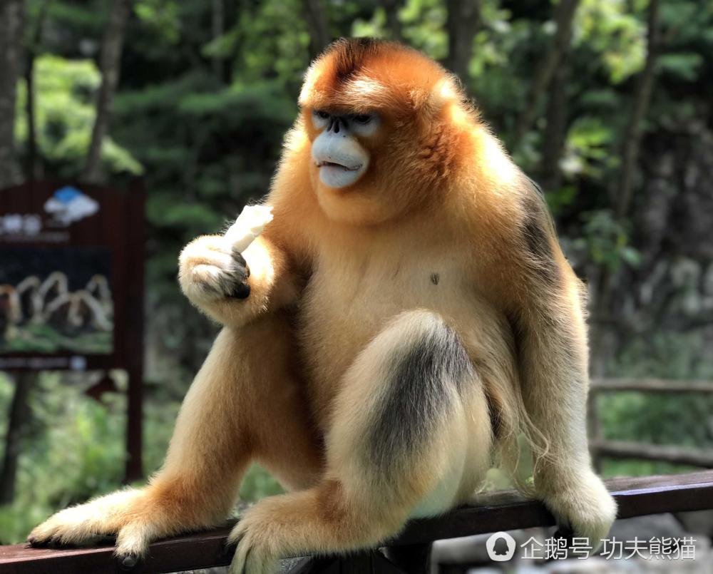 夫妻69蝴蝶交换俱乐部 三姐妹 交换 a级小说