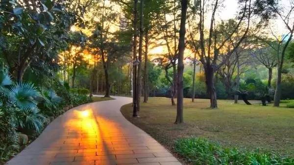 深圳15个最适合一日游的景点…人少景美还免费！