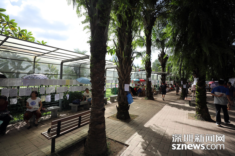 深圳人相亲没有鄙视链 他们只想找个条件相当