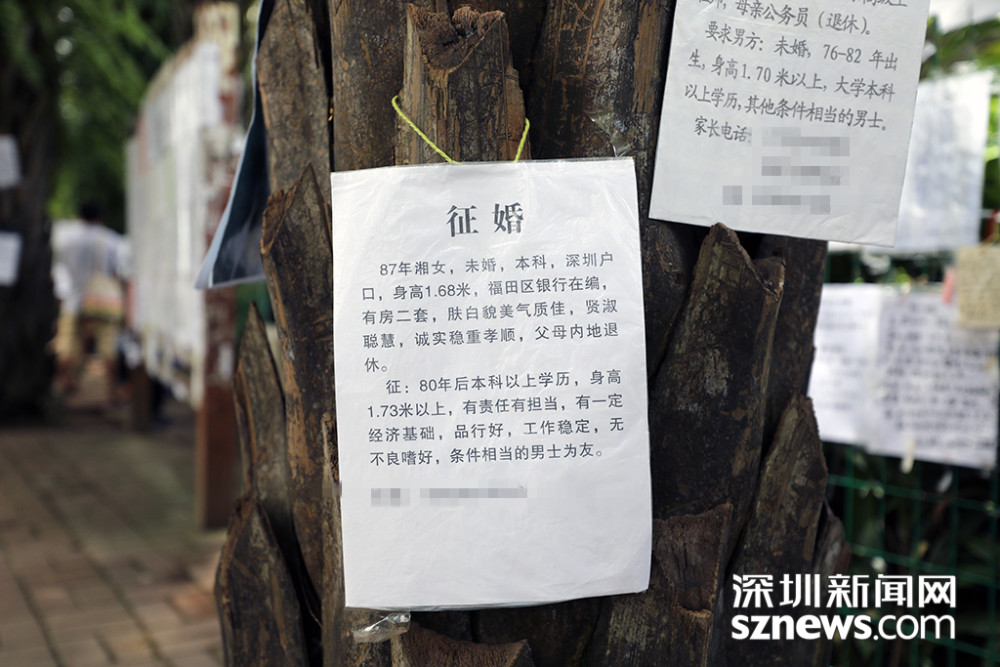 深圳人相亲没有鄙视链 他们只想找个条件相当