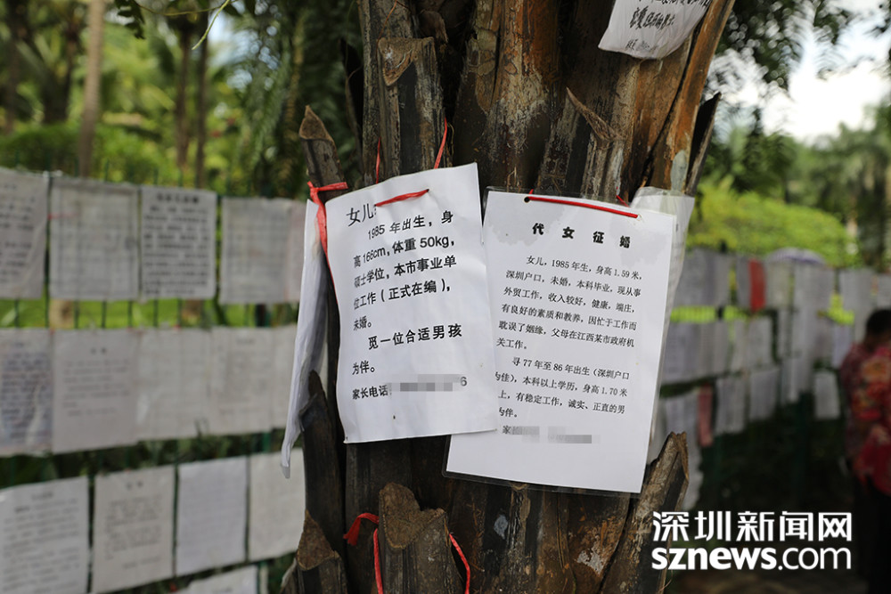 深圳人相亲没有鄙视链 他们只想找个条件相当