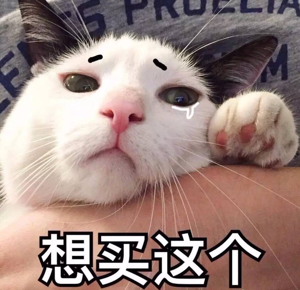 可爱猫咪搞笑表情包:我可以抱你吗,宝贝!