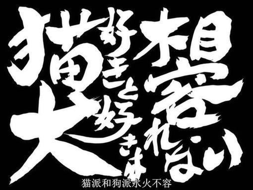 企鹅娘吐槽：你更喜欢养猫还是养狗呢？