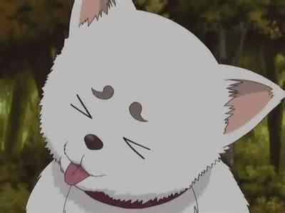 企鹅娘吐槽：你更喜欢养猫还是养狗呢？