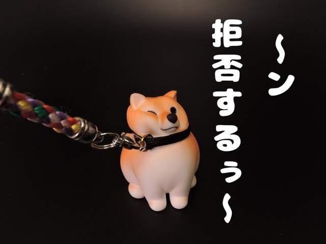 企鹅娘吐槽：你更喜欢养猫还是养狗呢？