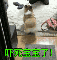 恶搞表情包|愿你欢乐洒脱,和美好不期而遇