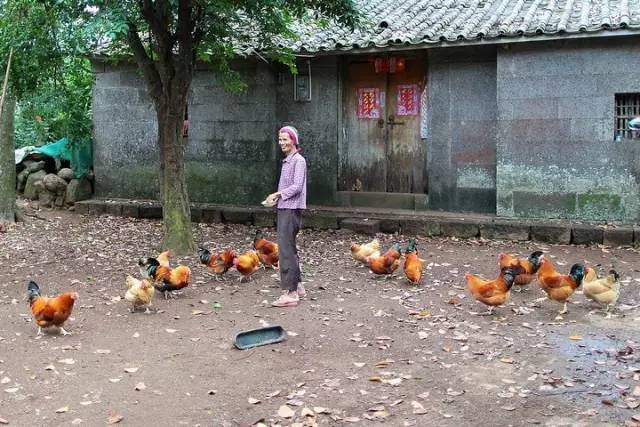 江西余干多少人口_江西余干刘天才(2)