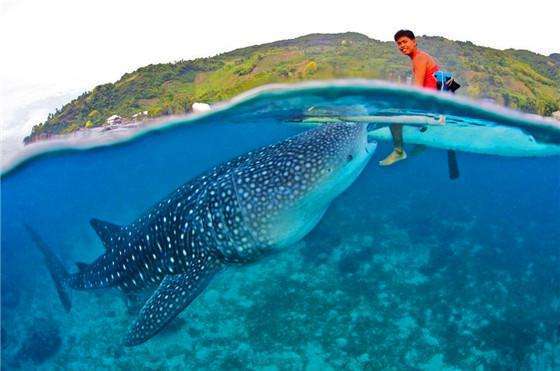 菲律宾给予中国游客落地签 老陕11月可直飞