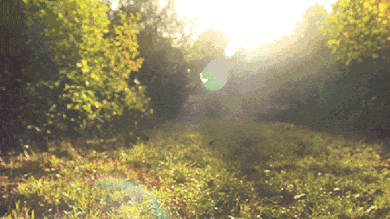 自从上周发现这家街边羊肉烩面,我已经吃了六次了!