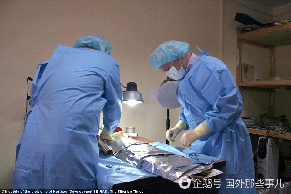 千年“极地公主”出土：脸部特质明显 睫毛头发保存完好（图） - 8